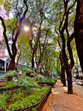 Güzel şehir Buenos Aires, Belgrano, Palermo, Arjantin. Yüksek kalite fotoğraf