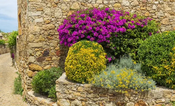 Dostlar, İspanya 'nın kuzeyindeki Katalonya' nın Costa Brava bölgesinde bulunan bir ortaçağ şehridir. Yüksek kalite fotoğraf