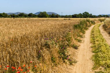 Palau Sator 'dan Peratallada' ya yürüyoruz. Palau Sator 'dan Peratallada' ya, Palau Sator 'dan Peratallada' ya kadar yürüyoruz.