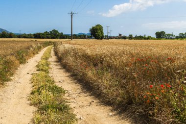 Palau Sator 'dan Peratallada' ya yürüyoruz. Palau Sator 'dan Peratallada' ya, Palau Sator 'dan Peratallada' ya kadar yürüyoruz.