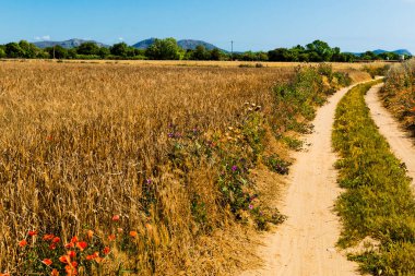 Palau Sator 'dan Peratallada' ya yürüyoruz. Palau Sator 'dan Peratallada' ya, Palau Sator 'dan Peratallada' ya kadar yürüyoruz.