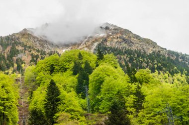 Kasım başında Pireneler 'i Portalet Geçidi' nden geçmek. Yüksek kalite fotoğraf