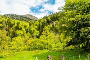 Kasım başında Pireneler 'i Portalet Geçidi' nden geçmek. Yüksek kalite fotoğraf