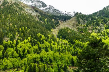 Kasım başında Pireneler 'i Portalet Geçidi' nden geçmek. Yüksek kalite fotoğraf
