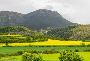 Kasım başında Pireneler 'i Portalet Geçidi' nden geçmek. Yüksek kalite fotoğraf