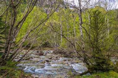 Ordesa and Monte Perdido National Park - Aragonese Pyrenees. High quality photo clipart