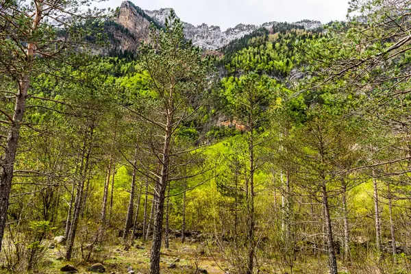 Ordesa ve Monte Perdido Ulusal Parkı - Aragonese Pireneleri. Yüksek kalite fotoğraf