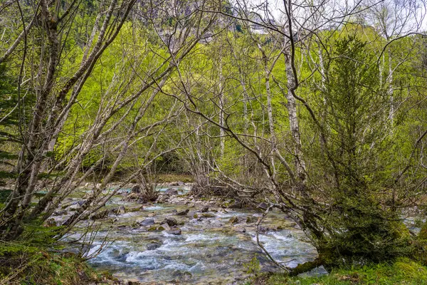 Ordesa ve Monte Perdido Ulusal Parkı - Aragonese Pireneleri. Yüksek kalite fotoğraf