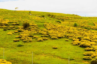 Tarlalar, kasabalar, köyler ve Pireneler 'in nehirleri. Yüksek kalite fotoğraf