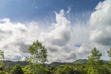 Güzel şehir Ribadesella, Asturias, İspanya. Cantabrian Denizi. Yüksek kalite fotoğraf