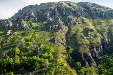Covadonga, Asturias Prensliği 'ne bağlı Cangas de Onis belediyesinde bir cemaat. Yüksek kalite fotoğraf