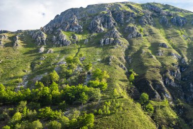 Covadonga, Asturias Prensliği 'ne bağlı Cangas de Onis belediyesinde bir cemaat. Yüksek kalite fotoğraf