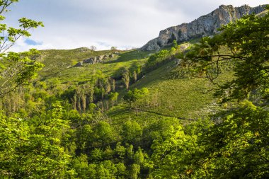 Covadonga, Asturias Prensliği 'ne bağlı Cangas de Onis belediyesinde bir cemaat. Yüksek kalite fotoğraf
