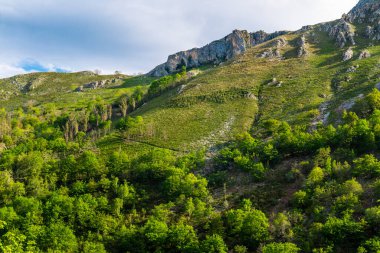 Covadonga, Asturias Prensliği 'ne bağlı Cangas de Onis belediyesinde bir cemaat. Yüksek kalite fotoğraf