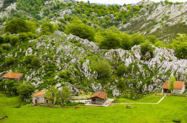 Covadonga, Lakes, Mountains, Cangas de Onis, Asturias, Picos de Europa yolu, İspanya. Yüksek kalite fotoğraf