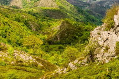 Covadonga, Lakes, Mountains, Cangas de Onis, Asturias, Picos de Europa yolu, İspanya. Yüksek kalite fotoğraf
