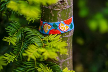 Canlı yeşil bitkilerle çevrili bir ağaç gövdesine sarılı renkli boncuklu bir bileziğin yakın çekimi. Doğa, el yapımı el işleri ve çevre dostu moda konuları için idealdir. Yüksek kalite fotoğraf