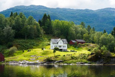 Fiyortta bir gemi katamaranının görüntüsü büyüleyici beyaz bir ev, yeşil bir manzara, parçalı bulutlu bir gökyüzünün altında sakin sular..