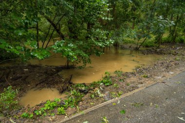 Çek Cumhuriyeti 'nin Osnice kentindeki bir ormanı, bir eylül günü aşırı hava koşulları altında ele geçirilen küçük bir nehir sular altında bıraktı. Akan sular, yaklaşan sel tehdidini yansıtıyor..