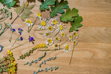 Taze kurumuş çiçek ve yaprakların narin bir düzeni korunmuş güzelliklerini sergiliyor. Dokuların çeşitliliği ve soluk renkler nostalji ve doğal zarafeti çağrıştırıyor.