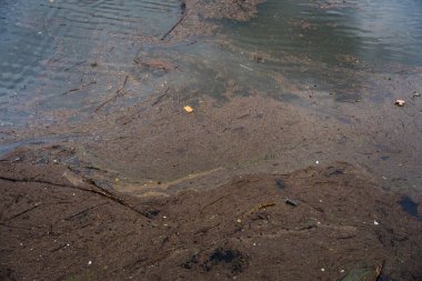 A river polluted with mud, debris, and trash after the Boris storm caused flooding in the Czech Republic. The muddy water reflects the devastation of the flood, highlighting the environmental impact. clipart