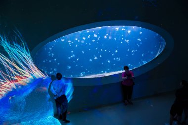 Prag, Çek Cumhuriyeti - 28 Temmuz 2024: Pankrac Medusarium, Prag 'da bir fütürist denizanası sergisi. Aydınlatılmış tank vitrinleri yüzen denizanaları ve karanlık duvarlarda renkli yansımaları var..