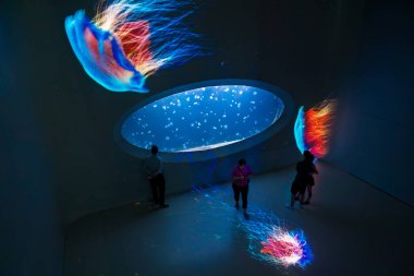 Prag, Çek Cumhuriyeti - 28 Temmuz 2024: Pankrac Medusarium 'da bir fütürist denizanası sergisi. Aydınlatılmış tank vitrinleri yüzen denizanaları ve karanlık duvarlarda renkli yansımaları var.