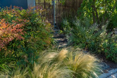 Canlı bir bahçe sahnesi. Güneş ışığı altında renkli yeşillikler ve süslü otlarla çevrili doğal bir patika. Kırsal elementler ve sıcak tonlar dışarıda barışçıl bir atmosfer yaratıyor. Kimse yok..