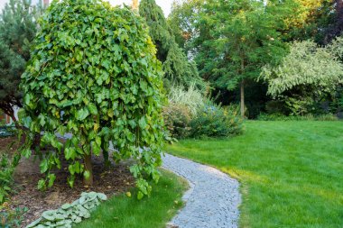Yeşillik, ağaçlar ve iyi bakımlı bitkilerle çevrili canlı bir bahçede dolambaçlı bir taş patika. Güneşli bir günde huzurlu bir atmosfer yaratıyor.