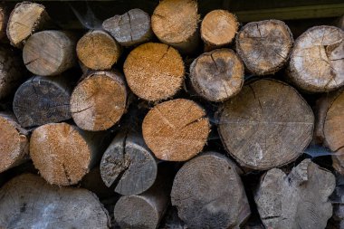 Yığılmış odun kütüklerinin doğal çatlaklara, sert kabuklara ve görünür ağaç halkalarına yakından bakın. Eski ahşap dokusu ve topraksı kahverengi tonlar kırsal ve organik bir his yaratıyor. Arkaplan kavramı