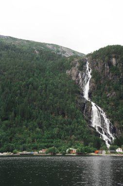 Renkli evlerin arkasındaki fiyorda çağlayan şelalenin dikey görüntüsü. Norveç, Bergen yakınlarındaki orman yamacı ve kayalık arazi. Bulutlu gün ışığı, canlı tonlar, manzaralı kuzey havası.