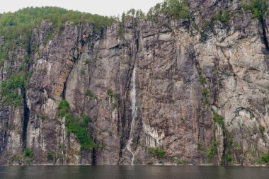 Norveç 'in Bergen yakınlarındaki karanlık bir fiyorda dikey bir kaya duvarından akan ince bir şelalenin telefon görüntüsü. Yazın göz hizasında suyun diğer tarafından ateş edilmiş. Huysuz tonlar, engebeli dokular.