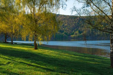 Yüksek huş ağaçları ile manzara göl manzarası taze yeşil çimenler üzerine uzun gölgeler, sakin mavi su, ve ormanlık tepeler geri planda güneşli bir ilkbahar günü Çek kırsalında.