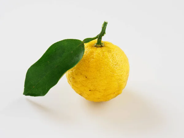 Beyaz arka planda olgun Japon meyveleri 