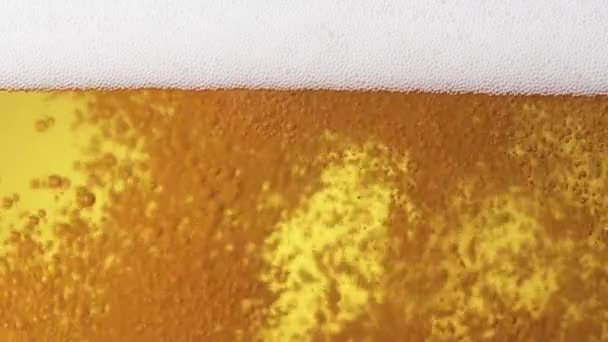 Beer Pouring Scene Close — Stockvideo