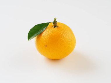 Beyaz arka planda yaz mandalinaları