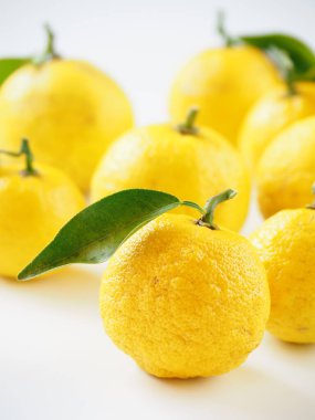 Beyaz arka planda Japon yuzu meyveleri
