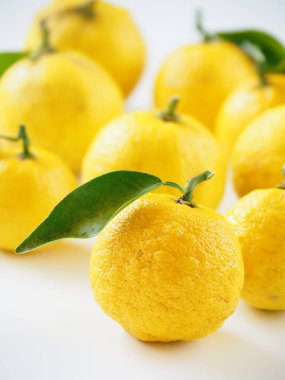 Beyaz arka planda Japon yuzu meyveleri