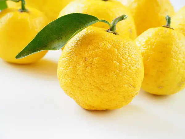 Beyaz arka planda Japon yuzu meyveleri