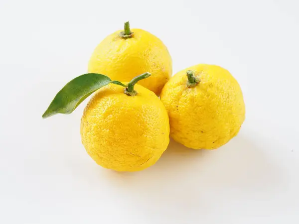 Beyaz arka planda Japon yuzu meyveleri