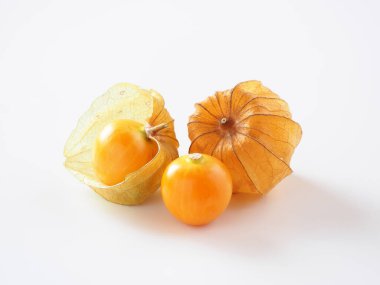 Beyaz arka planda Japon bitki örtüsü