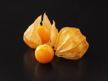 Japon bitki örtüsü siyah arkaplanda