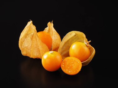 Japon bitki örtüsü siyah arkaplanda