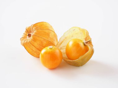 Beyaz arka planda Japon bitki örtüsü