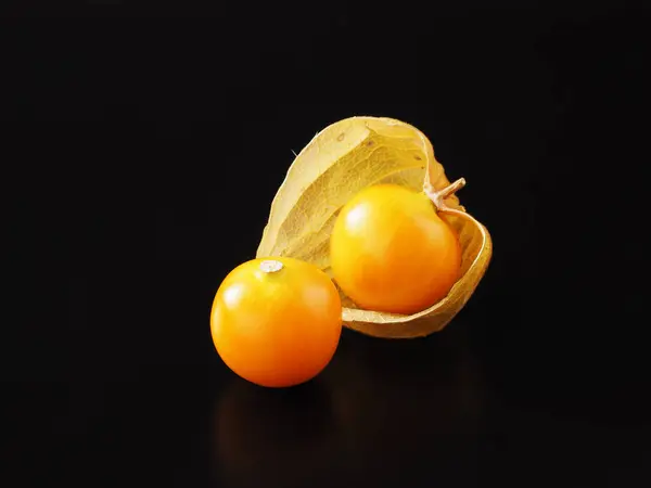 Japon bitki örtüsü siyah arkaplanda