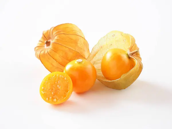 Beyaz arka planda Japon bitki örtüsü