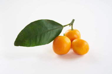 beyaz arkaplanda kumkuat meyveleri