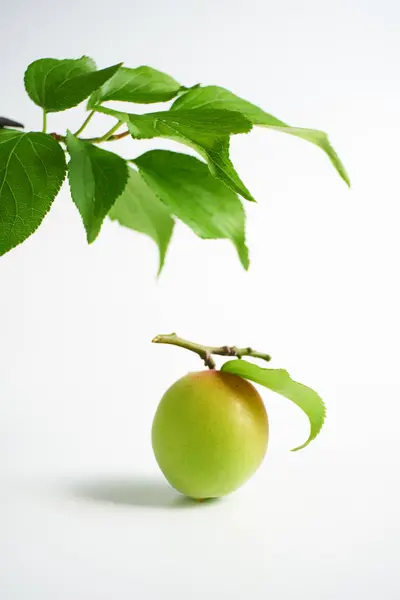 Beyaz arkaplanda Japon kayısı          