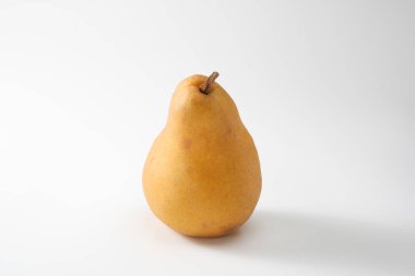 armut beyaz arkaplanda