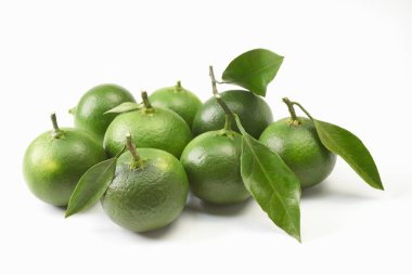       Olgunlaşmamış yeşil Japon portakalları beyaz arkaplanda                         